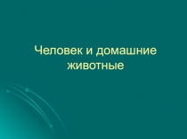 Презентация по окружающему миру на тему:Домашние животные
