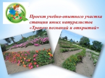 Презентация Учебно-опытный участокстанции юных натуралистов