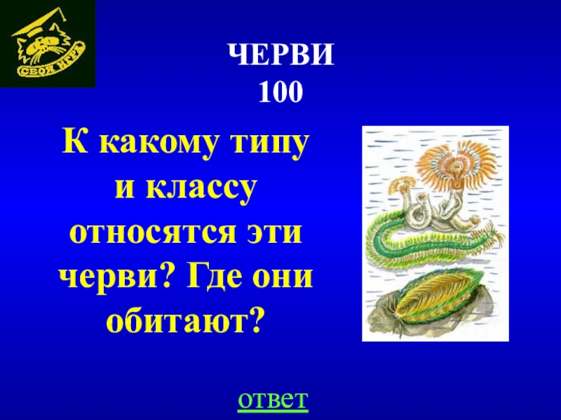 Класс червяков. К какому классу относятся черви. Червяк к какому классу относится. К какому типу относится червь.