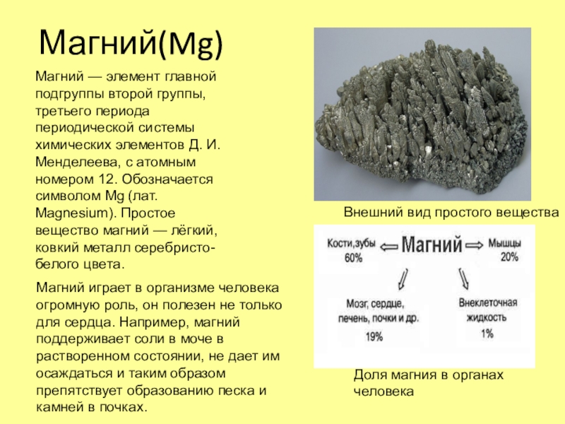 Магний картинки для презентации