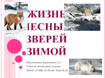 Жизнь лесных зверей в зимнее время года (2 урок). 1 класс ПНШ