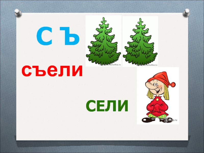 Сел съел схема