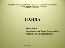 Презентация Панда, 3 класс