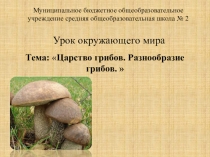 Презентация по окруж. миру по теме: Царство грибов-