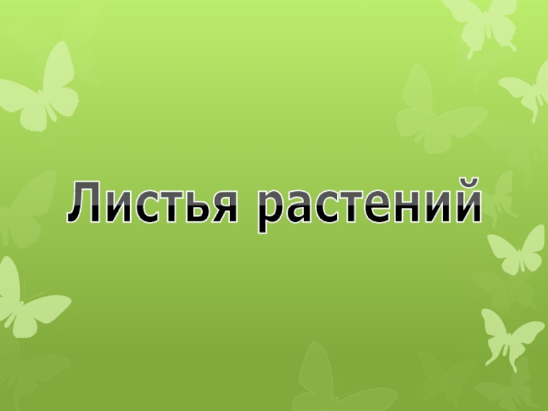 Презентация по окружающему миру Листья растении