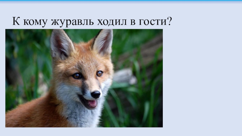 Как говорит лиса звук. Что сказала лиса. Сказала лиса Тетерин. Расскажи лиса голос. Хитрая лиса песня.