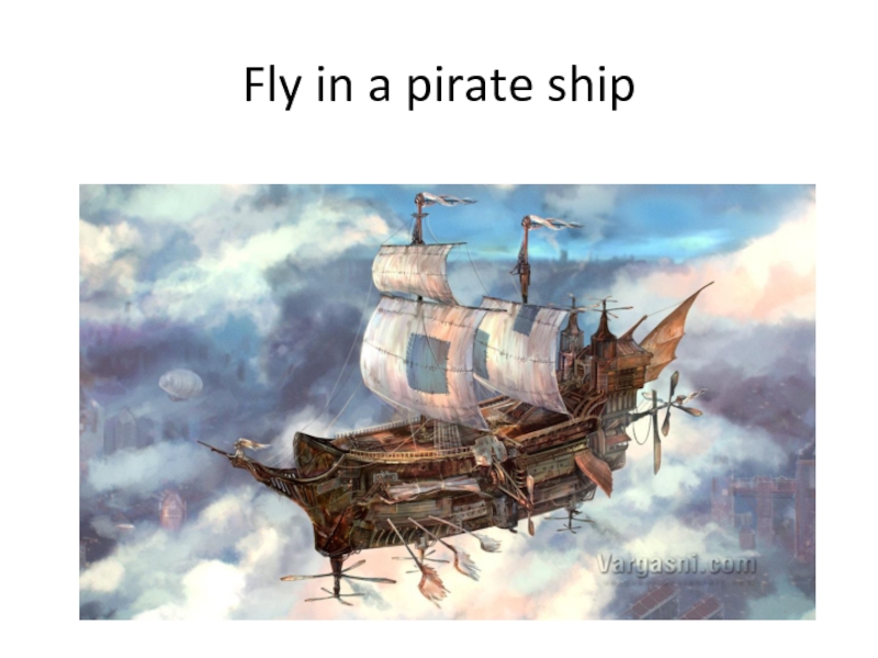 Fly in a pirate ship
