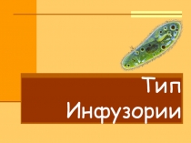 Презентация по биологии на тему Инфузории (7 класс)