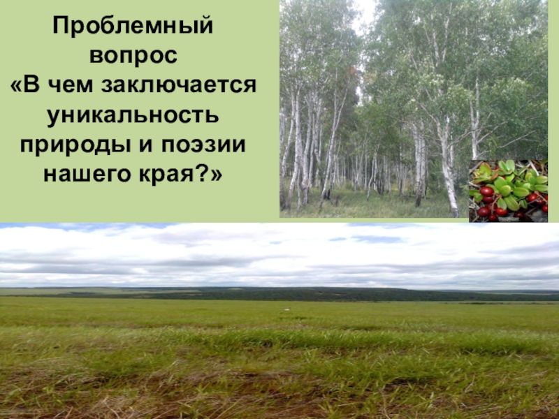 Таежная степная гимн. Уникальность нашего края. Таёжная Озерная Степная. Таёжная Озерная Степная текст. Таежная Озерная Степная стих.