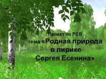 Проект по РСВ. Тема: Родная природа в лирике Сергея Есенина
