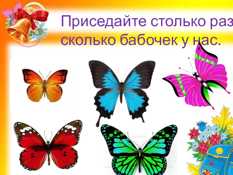 Столько раз. Мы присядем столько раз сколько бабочек у нас. Сколько бабочек у нас. Картинка приседаем столько раз сколько бабочек у нас. Картинки для физкультминутки бабочка.