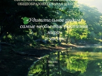 Разнообразие растений 5-6 класс