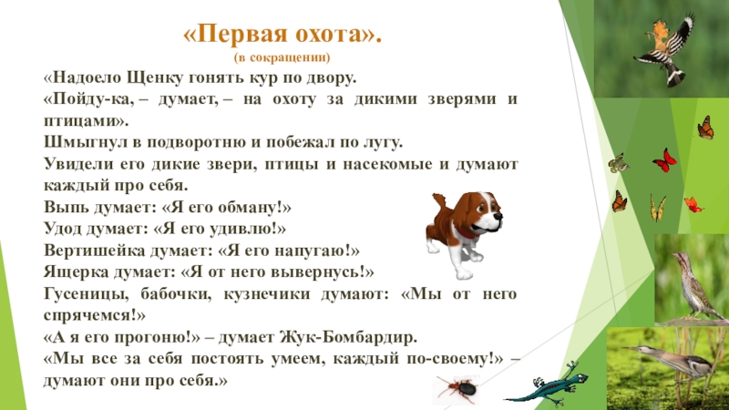 «Первая охота».(в сокращении)«Надоело Щенку гонять кур по двору.«Пойду-ка, – думает, – на охоту за дикими зверями и птицами».Шмыгнул в