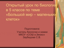 Открытый урок по биологии Большой мир маленьких клеток
