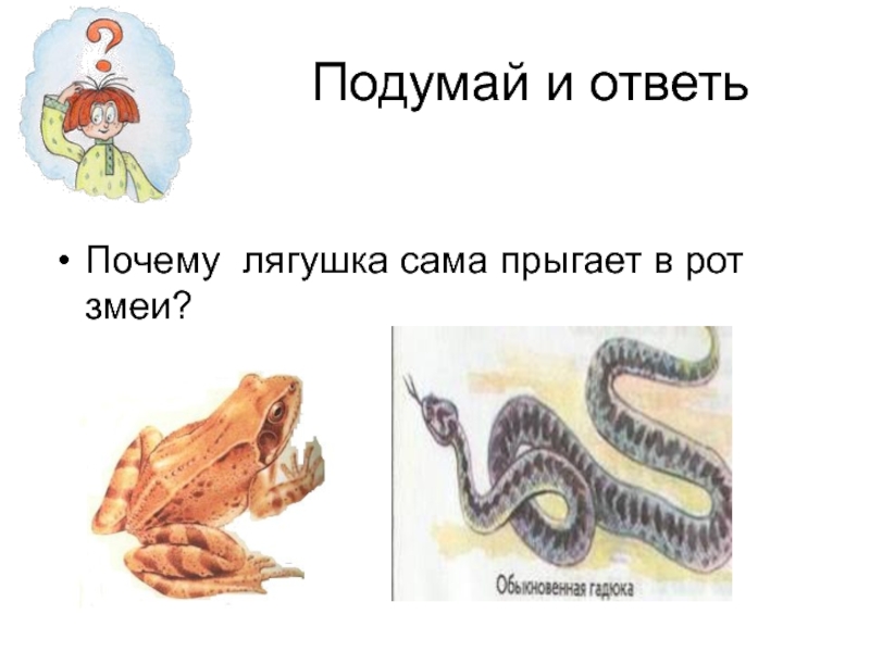 длина прыжка лягушки. лягушки. жабы коротенькие ноги. почему лягушка прыгает а жаба только ходит. почему лягушка прыгает а жаба только ходит.