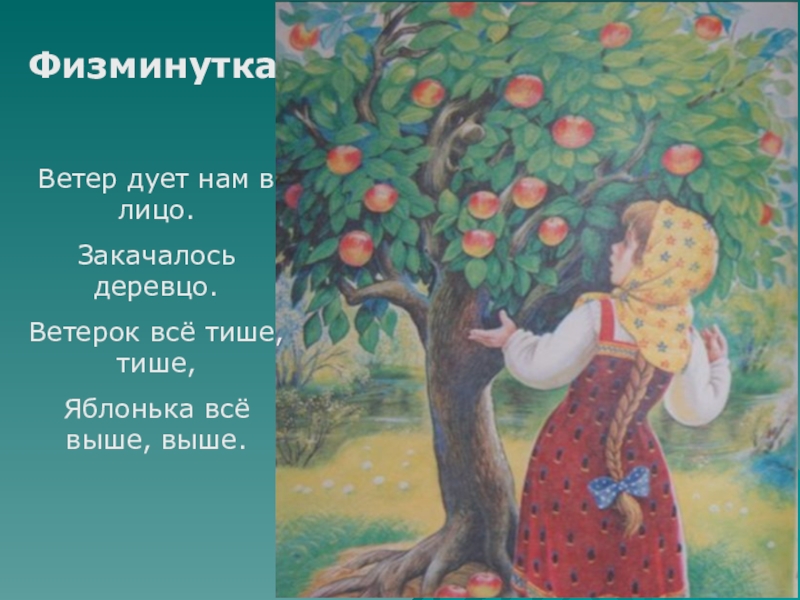 Закачалось деревце физминутка. Физкультминутка яблоко. Физминутка закачались деревца. Физкультминутка Яблонька. Физминутка гуси лебеди.