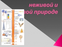 Презентация по физике на тему Колебания в неживой и живой природе (9 класс)