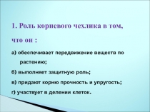 Презентация к уроку по темеВидоизменения корней