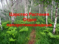 папортники