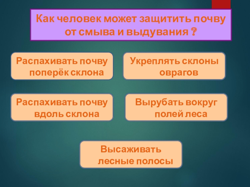 Тест земля кормилица 4. Как защитить почву. Как человек может защитить почву. Как защитить почву на полях. Памятка как защитить почву на полях.