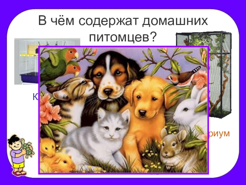 Животные живого уголка 2 класс. Животные живого уголка презентация. Домашние животные живого уголка. Окружающий мир животные живого уголка.