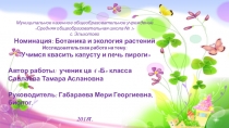 Номинация: Ботаника и экология растений Исследовательская работа на тему: Учимся квасить капусту и печь пироги