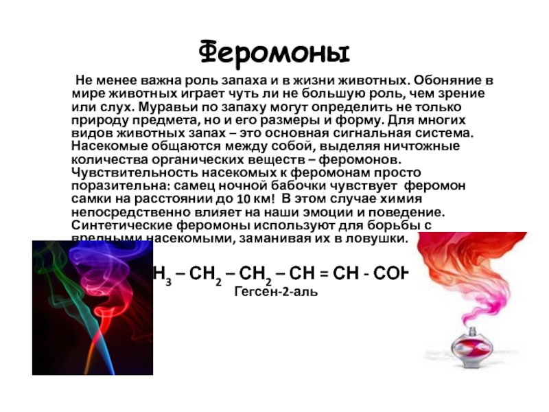 Феромоны говорят иначе. Роль запахов в жизни человека. Феромоны это простыми словами. Феромоны животных презентация. Феромоны картинки для презентации.