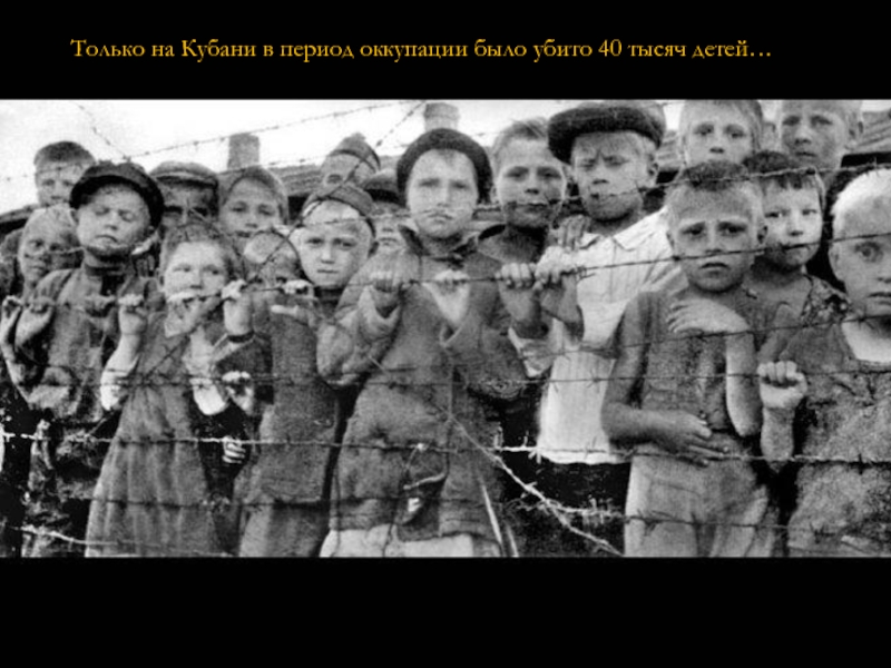 Только на Кубани в период оккупации было убито 40 тысяч детей…