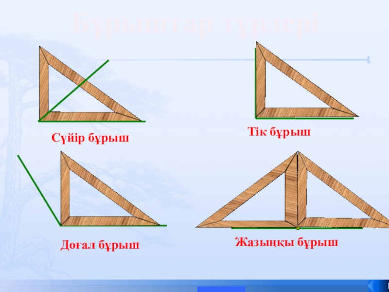 Бұрыш 5 сынып есептер