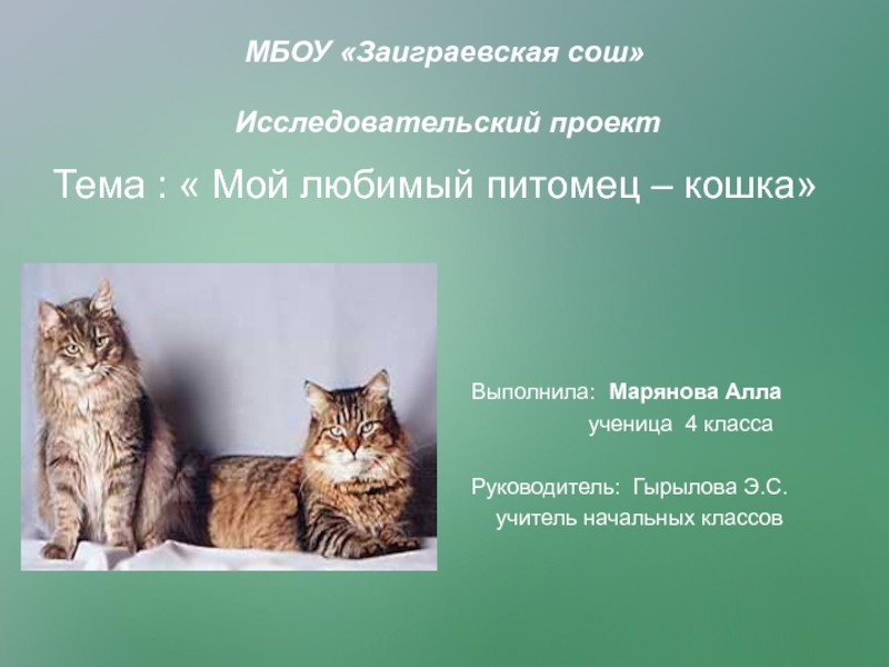 Презентация  Исследовательский проект  Любимый питомец - кошка.