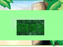 Урок-презентация по биологии на тему Единство живой и неживой природы