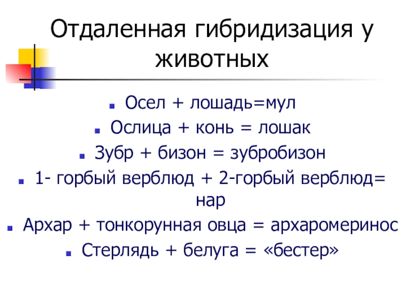 Презентация на тему отдаленная гибридизация