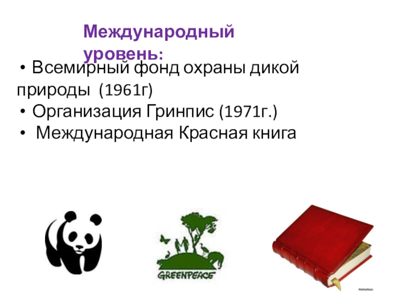 Когда был создан всемирный фонд дикой природы