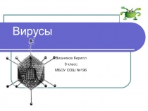 Презентация по биологии на тему Вирусы (9 класс)