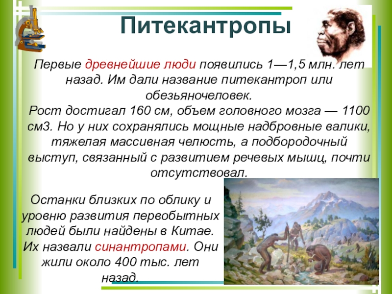 1 млн лет назад. Древние люди питекантроп. Питекантроп года. Питекантроп характеристика. Питекантроп рост.