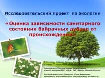 Презентация по экологии на тему Оценка зависимости санитарного состояния байрачных дубрав от происхождения