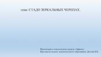 Презентация по изобразительной деятельности Зеркальные черепахи