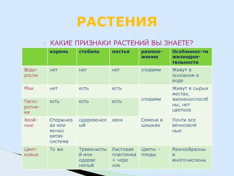 3 признака растения