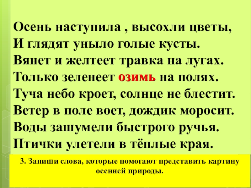 Схема предложения эти букеты цветов не вянут а их жесткие лепестки не осыпаются