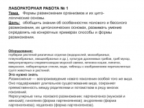 Лабораторная работа по биологии Формы размножения организмов и их цитологические основы