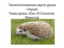 Технологическая карта на тему ЁЖ