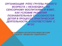 Презентация Организация РППС группы раннего возраста  Незабудка по сенсорному воспитанию и ФЭМП, как условие развития познавательных способностей детей в процессе практической деятельности в соответствии с ФГОС.