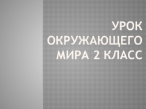 Презентация по окружающему миру на тему:Красная Книга России(2 класс)