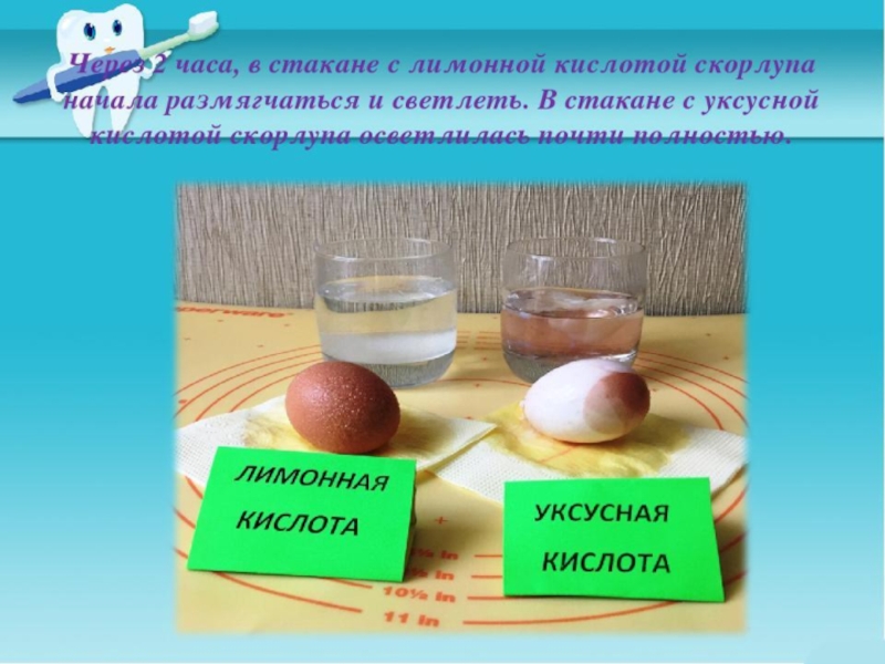 Яичная скорлупа и уксус