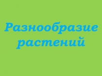 Презентация по окружающему миру на тему разнообразие растений (3 класс)