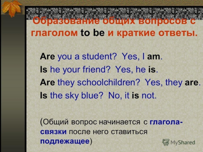 Общие вопросы в английском языке презентация