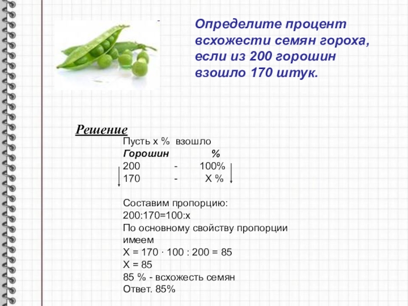 Сколько гороха на 3. Определение процента всхожести семян схема. Как определить процент всхожести семян. Как определить диаметр гороха. Размер семян гороха в миллиметрах.