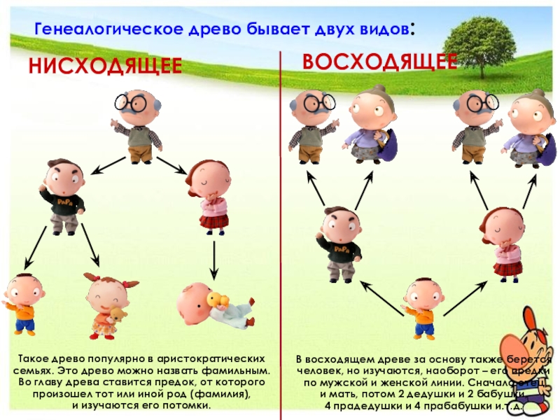 Родословное древо презентация 3 класс перспектива