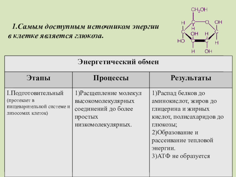 Этапы энергетического процесса. Что является основным источником энергии для клетки. Основным первичным источником энергии в клетке является. Образование энергии в клетке. Этапы энергетического обмена таблица 10 класс.