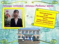 Презентация по биологии на тему : Птицы степей